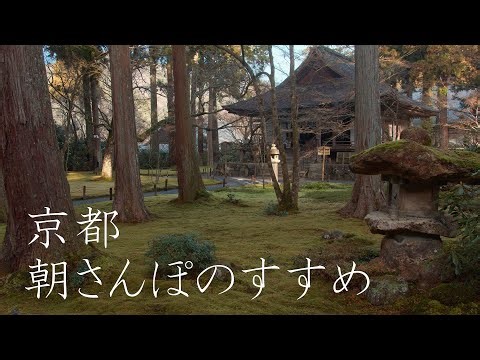 朝さんぽのすすめ : The Joy of a Morning Stroll in Ohara（Kyoto, Japan）