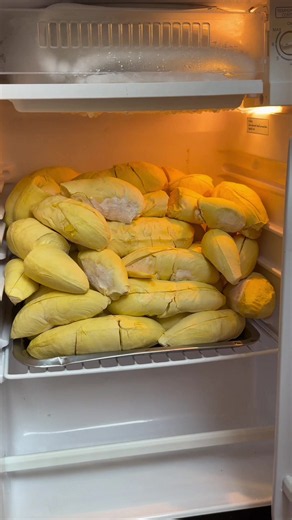 ช่วงนี้ทานข้าวไม่ได้เลย #ครัวหนูนัท #ทุเรียน #ตู้เย็นในฝัน #durian | ตู้เย็นเล็กมินิ