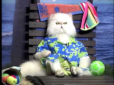 Mr. Tinkles for Cats & Dogs 2: The Revenge of Kitty Galore