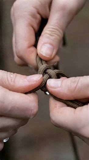 Camping Alone in a Rainstorm – Survival in the Forest #adventure #viralvideo #solocamping