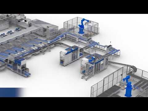 Sunrise Eggs - The latest packing robots at work.