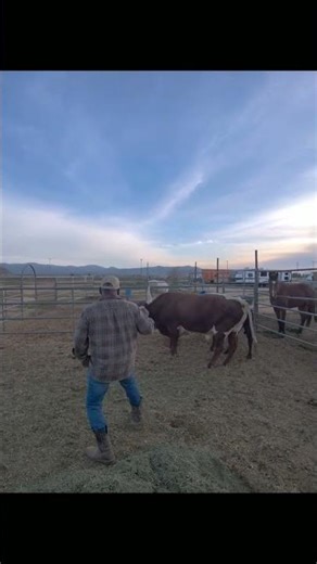 How not to be a Cowboy - Part 2: Beyond the Basics 🤠📈