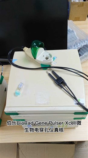 伯乐BioRad Gene Pulser Xcell电穿孔仪电转
