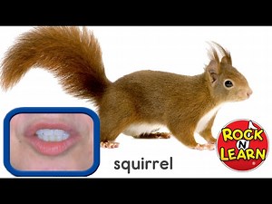 Learn English | Words Used Outside | Rock N Learn - Videos For Kids