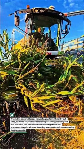High-Speed Forage Harvester in Action 🚜🌽 #AgriTech #Farming #TractorLife