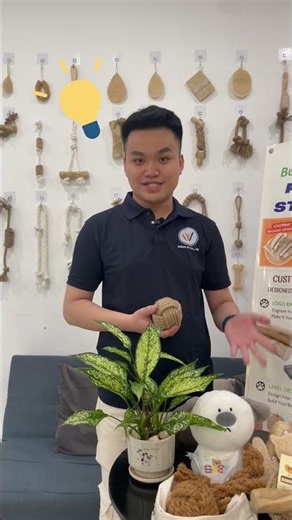 Start Your Eco-Pet Brand Without Packaging Stress | WINVN Solutions