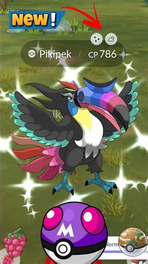 First Ever New✨️Shiny Toucannon in Pokemon GO