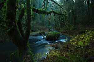 98K views · 868 reactions | Do more with your photos with this all-in-one photo organizer, editor, raw processor, and effects app. | ON1 | Facebook