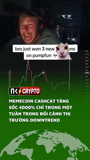 Memecoin CASHCAT Surges 4,000% in a Week Amid Crypto Market Downturn