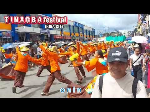 TINAGBA festival, City of Iriga - 🍌🍍🐃🐂 #irigacity #TinagbaFestival