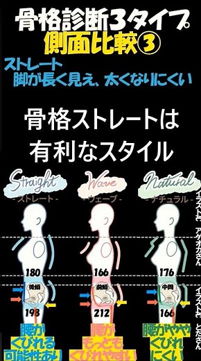 【脚長＆胴が短く見える骨格ストレート】側面の体型比較③ 骨格診断3タイプと骨盤 傾向と対策とスタイル改善㉛【胴長短足に見える骨格ウェーブ】 #骨格ナチュラル #ダイエット #脚やせ #足痩せ