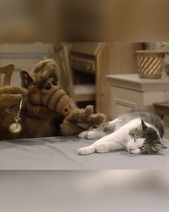 99K views · 4.5K reactions | ALF's Best Cat Meow-ments  #alf #nationalcatday #alien #tv #humor #80snostalgia | Alf | Facebook