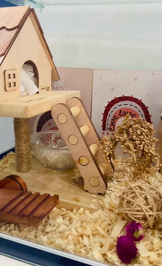 Hamster Team: Fun and Adorable Moments