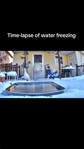 Time-lapse of water freezing, photos taken every three seconds. #ice #forming #water #freezing #timelapse