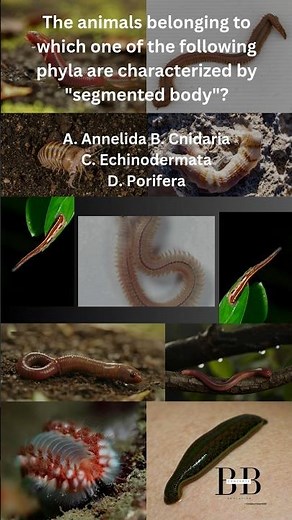 Phylum Annelida #phylum #biology #biologyshorts #gatexl #ytshorts #youtube #youtubeshorts #ytshort
