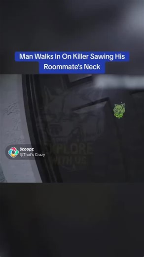 Mr…scoopz | Daily Scoopz #prime | Instagram