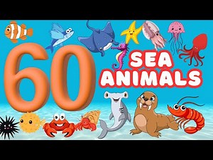 60 Amazing Sea Animals for Kids | Perfect for Toddlers and Preschoolers