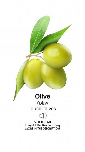 Olive - Pronunciation, English Phonetic Transcription, Plural Form