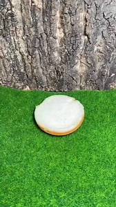 💚🐸😂 Credit: @sedanvd #frog #froggy #frogs #froglife #froglover | Frog Hoppy