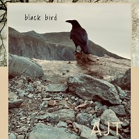 Alex Jenkins Trio: Black Bird album review @ All About Jazz