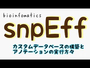 snpEff カスタムデータベースの構築とアノテーション