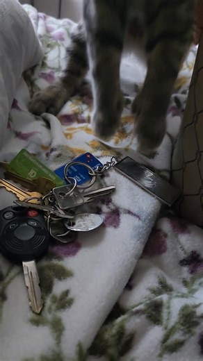 He can't figure out what the heck is going on😆 | Amber White