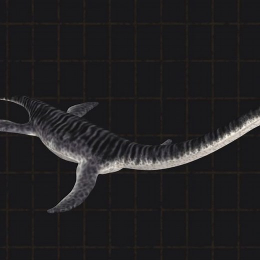 Plesiosaurs 101