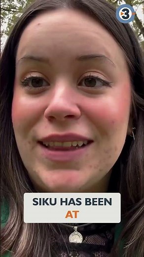 Polar Bear Siku Moves From Chicago To Wisconsin Zoo! #shorts