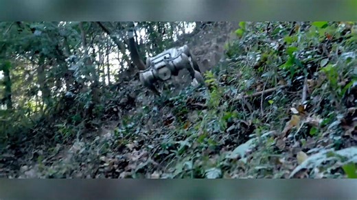 The #robot dog is coming to you! Meet the Unitree B2-W, a quadruped robot, who shows its remarkable capabilities. #Al #unitree #robot #robotdog #trending (cr: douyin Alien_X) | T-Time HK