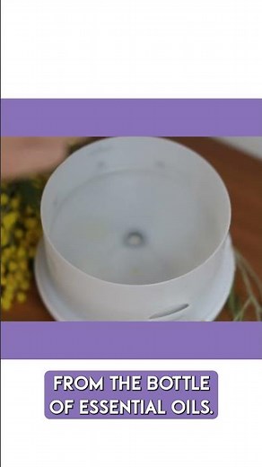 What oils are safe to diffuse around dogs?