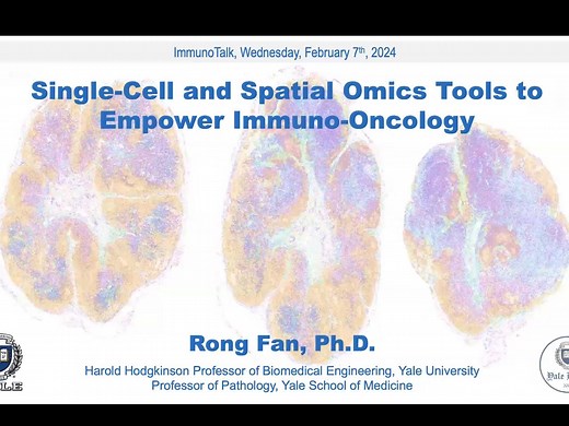 Single cell and spatial omics for cancer immunology