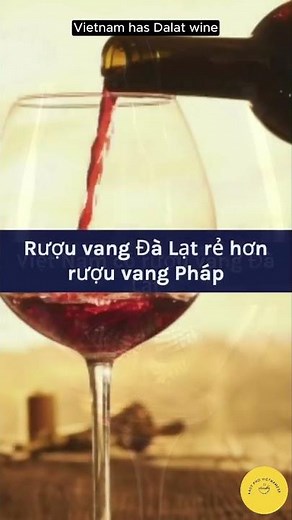Easy Vietnamese Stories |Dalat Wine | Rượu vang Đà Lạt #vietnamese#learnvietnamese#easyphovietnamese