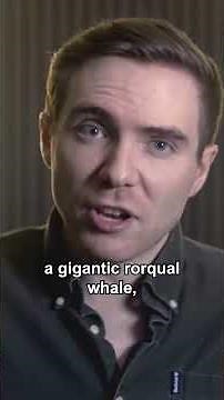 Why Whales Suddenly Got Huge