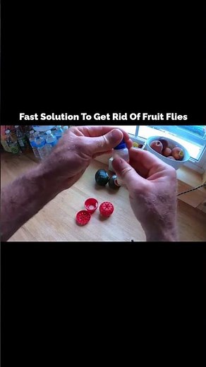 One Simple Trick to Remove Fruit Flies Forever #fruitfliescontrol #pestcontrol #kitchenhacks #viral