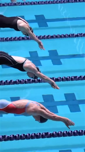 Splash Forward on Instagram: "💦Check out this recap of the 2025 WIAA Girls State Swim and Dive 🏊‍♀️ Championships🏆! Some incredibly fast swims alongside flawless dives were witnessed across the board with every person in the crowd bringing the energy level way ⬆️UP!! 👏👏Awesome job to all these ladies who put in their hardest work to make it here 🏊‍♀️🌊! 💙💦 🎥: @jt_photographyflics Copy: @bellapwong @wiaawa #GirlsSwimAn