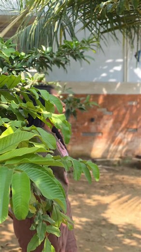 🆅🅰🅻🅰🆁🅽🅸🅻🅰 on Instagram: "TAILORING CLASS TIMING: Basic Machine knowledge to advance Technic We Covered Patch Work Design for Students Choice Complete Guidance Practical knowledge Details: 7708819955 , 7010455916 Per Day 2 Hrs Class Fees : Blouse 9000/- Chudi 9000/- Batch 1 (10AM to 12PM) Batch 2 (12PM to 2PM) Batch 3 (2:30PM to 4:30PM) Online Tailoring Fees :Blouse ₹5000 Chudi. ₹5000 Basic Machine knowledge Required ✔️Class Pre Recorded Session 💯 ✔️It’s Helps To Work On Your Free Time"