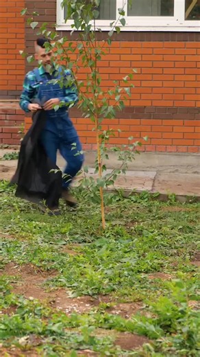 Simple garden hacks your plants will thank you for 🌿✨ #GardeningTips #PlantHacks #DIY #plantsoftiktok #greenlife