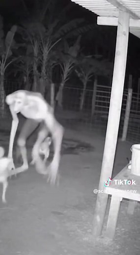 Understanding Skinwalkers: Myths and Stories