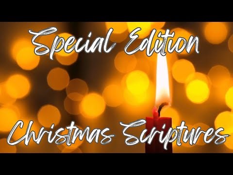 ✝️ Christmas Scriptures | Special Edition Peaceful Bible Reading