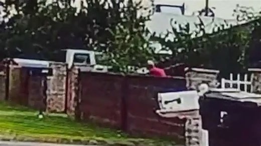 Man caught on camera beating chihuahua with a shovel