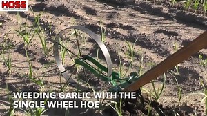 17K views · 69 reactions | A Wheel Hoe is the perfect tool for weeding onions and garlic. Cultivator teeth can be arranged on the 1/4" steel tool bar to accommodate your row spacing. You don't have to worry about air in the tires or the gas tank being empty -- just grab the Wheel Hoe and go! | Hoss | Facebook