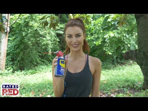 Use four unconventional WD-40 tricks to solve everyday problems