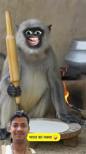 भारत का नक्शा 🙈🙉#funny #comedy #thetharpuns #shilpisaroja #comedyup#india#monkey