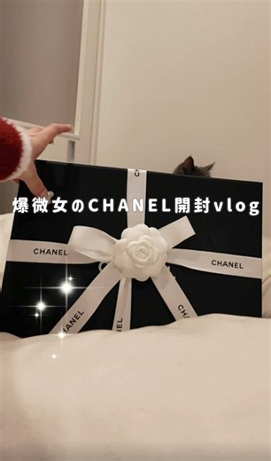 やーーーーっと見つかったCHANEL25の開封動画