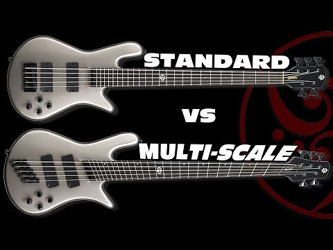 Multi-Scale vs Standard Scale