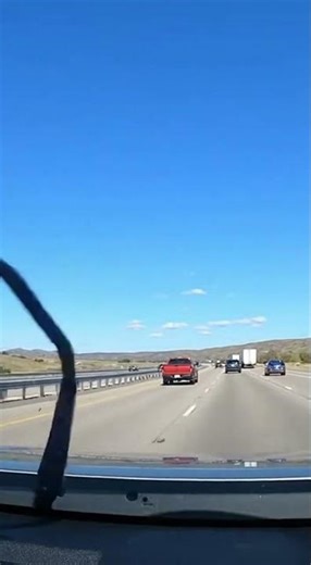 Bird Drops Fish on Windshield: Insane Dashcam Moment