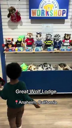 Great Wolf Lodge Memories: Build-A-Bear Adventures