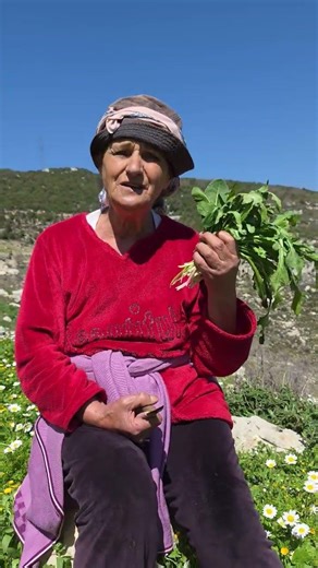 spring in Lebanon and little bit of Zajal ❤️🇱🇧