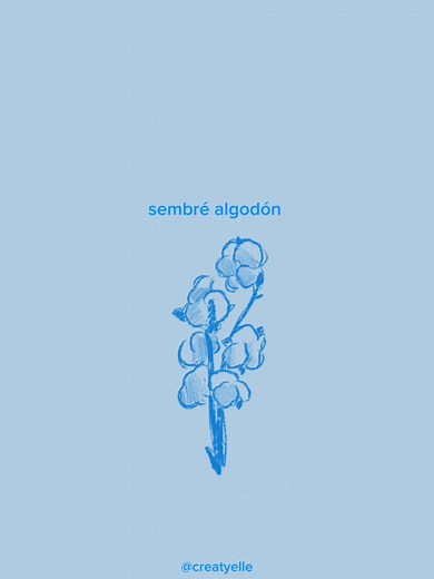 Gongoli: La Canción Favorita de Alvarito Díaz