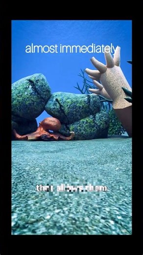 What is Octopus legs are cut off 🤔